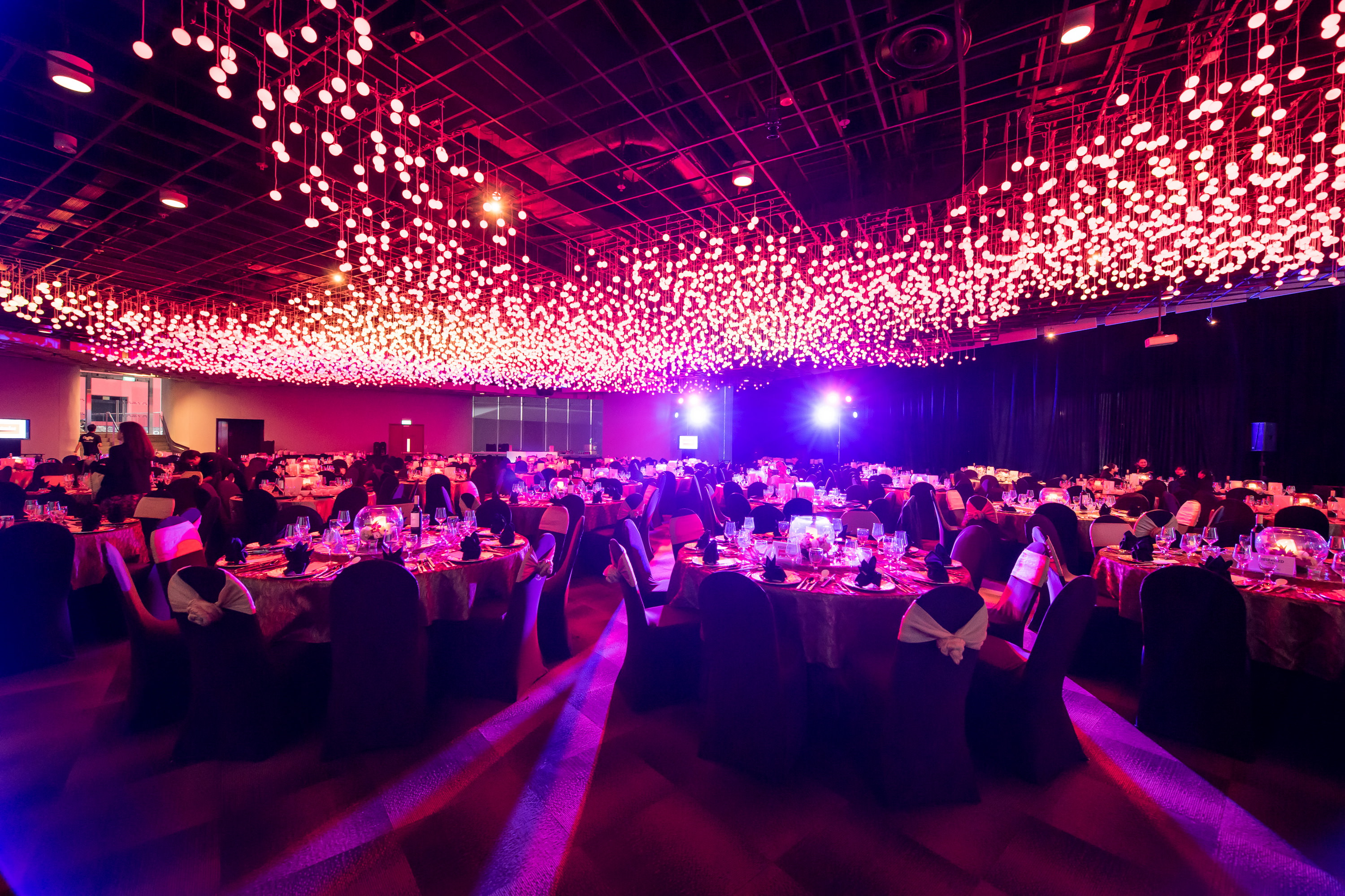 Platinum Gala In the Lion City (Hosted by WLS contributors)