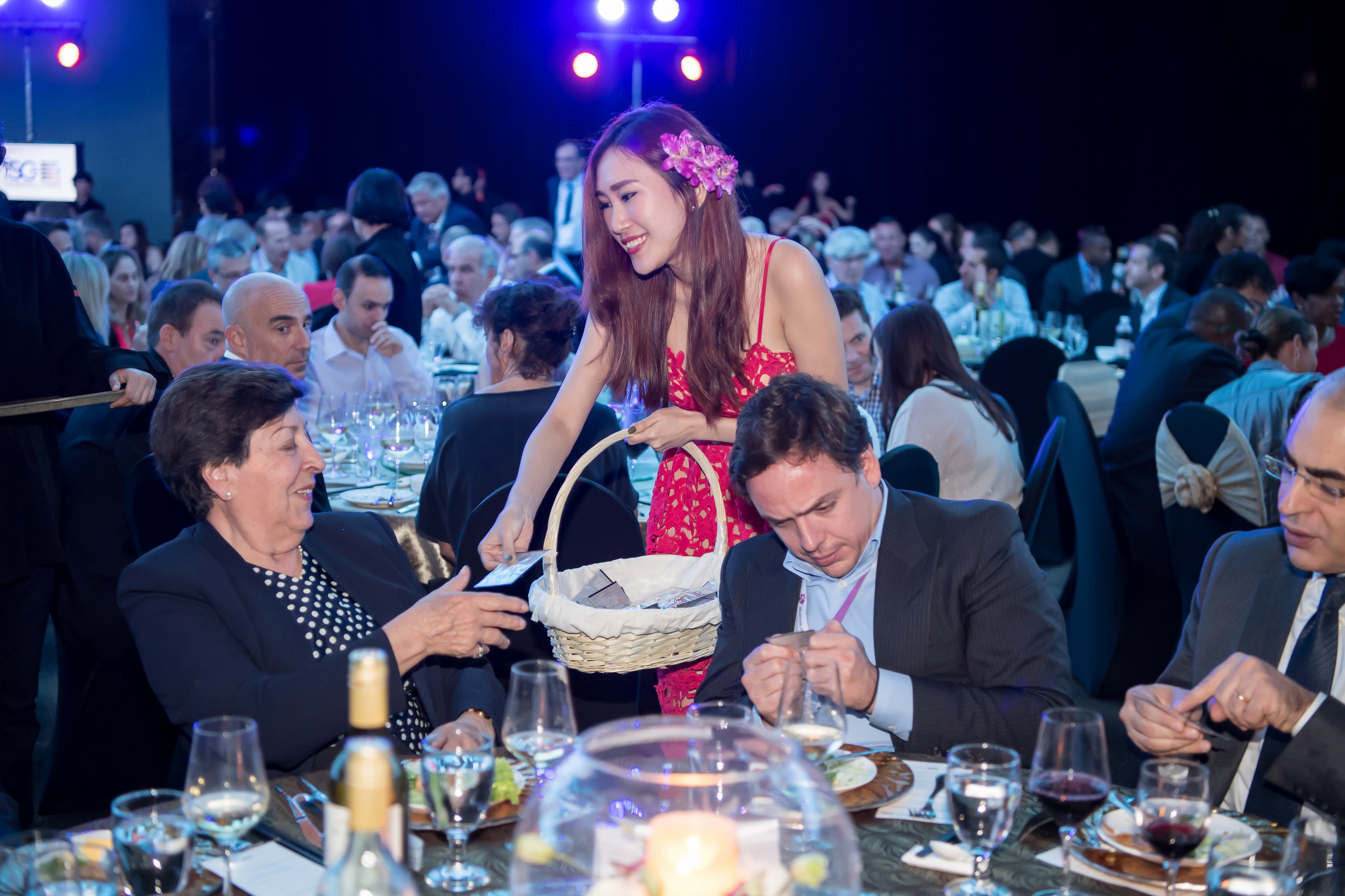Platinum Gala In the Lion City (Hosted by WLS contributors)