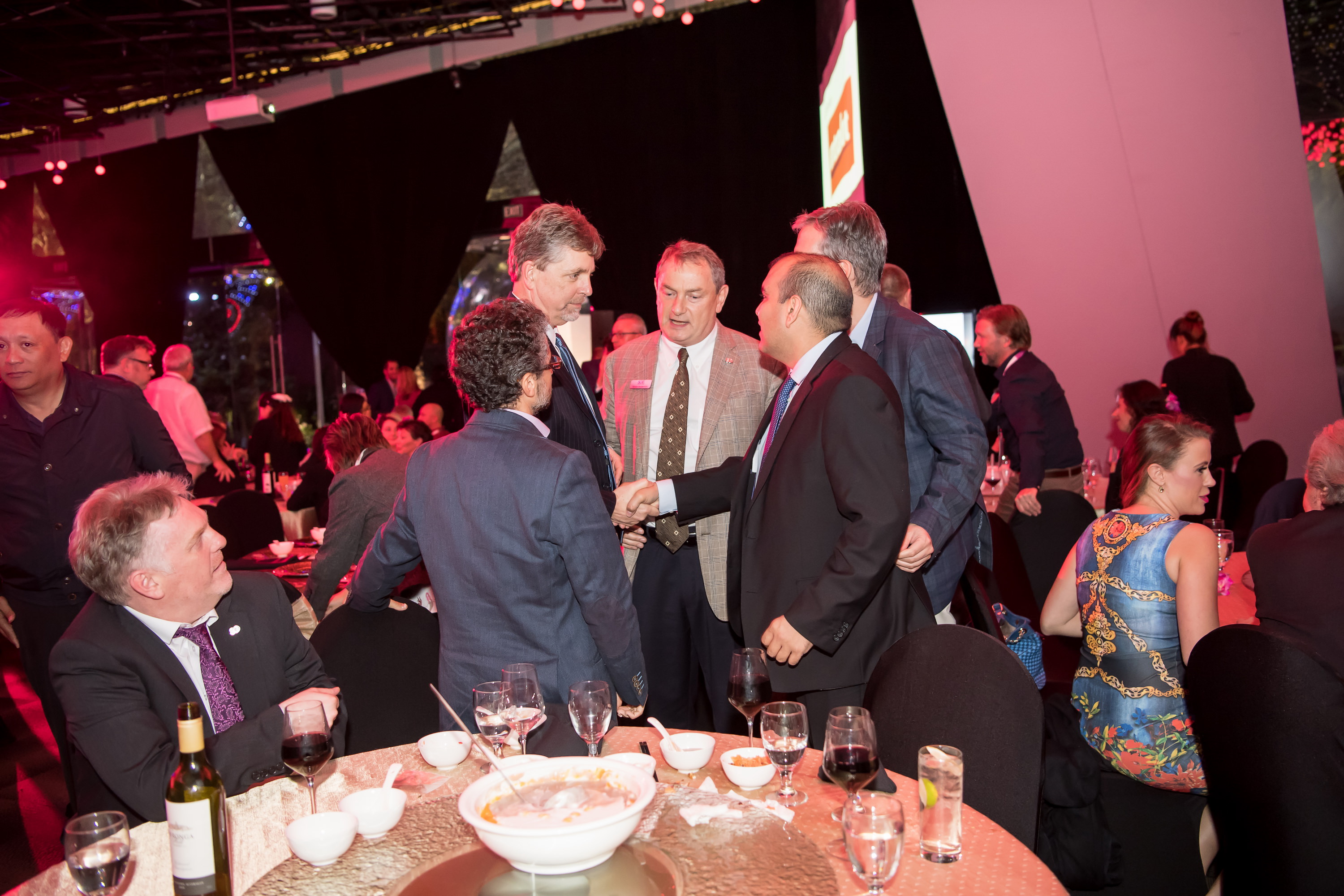 Platinum Gala In the Lion City (Hosted by WLS contributors)