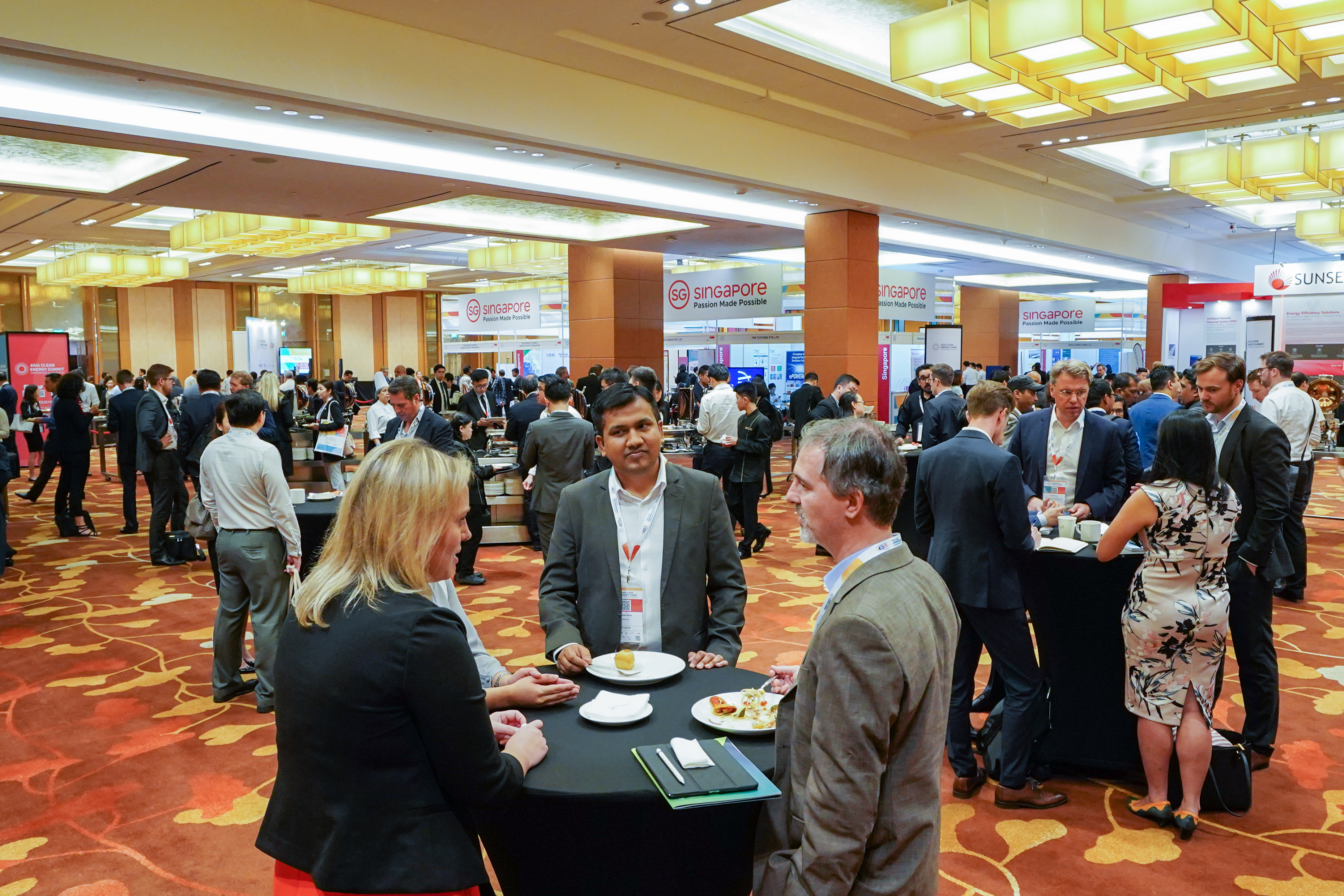 Asia Clean Energy Summit 2019