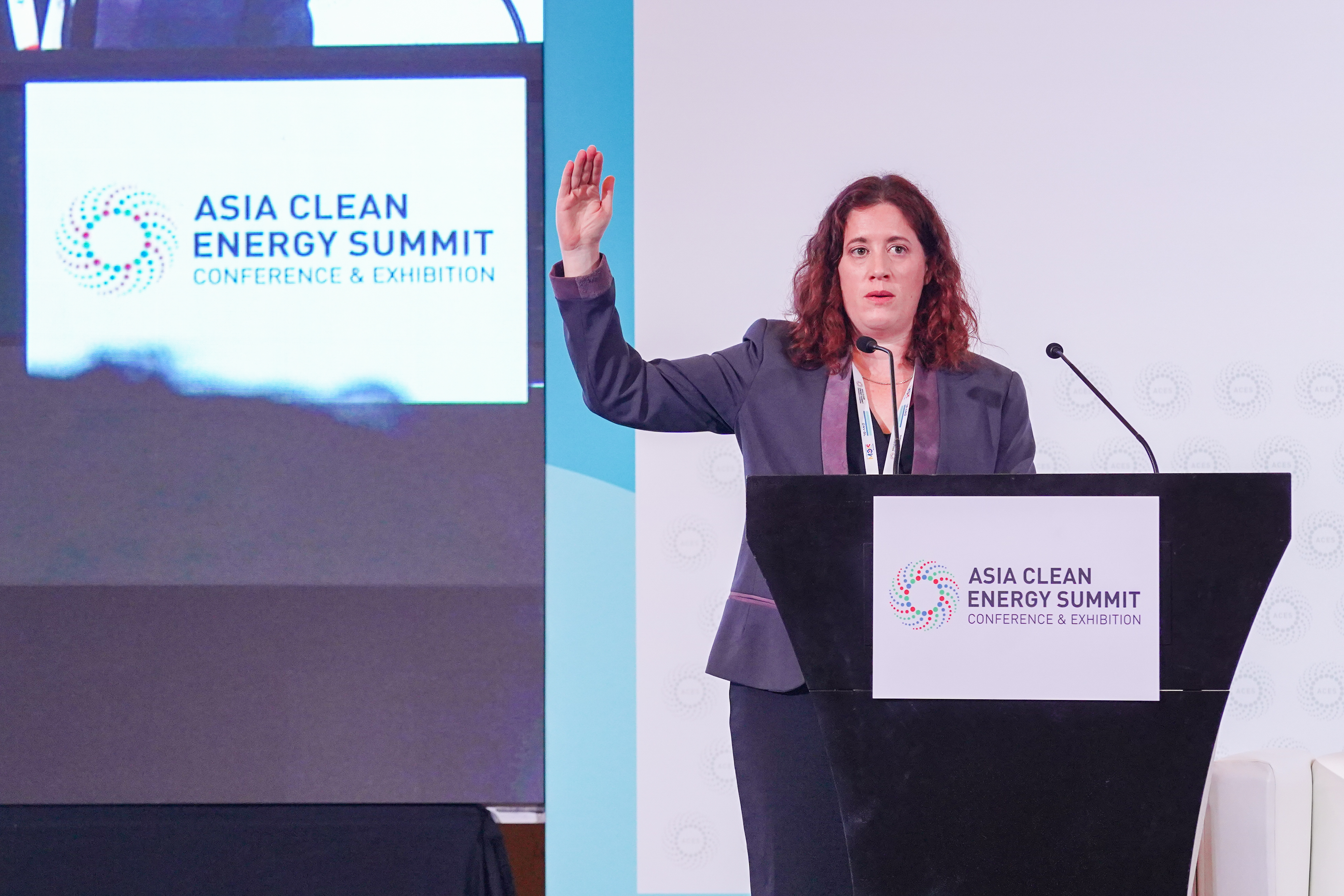 Asia Clean Energy Summit 2019