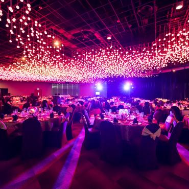 Platinum Gala In the Lion City (Hosted by WLS contributors)